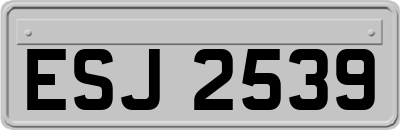 ESJ2539