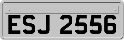 ESJ2556
