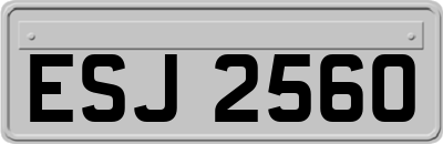 ESJ2560