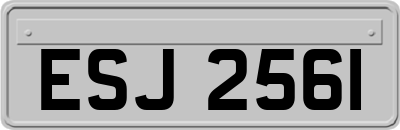 ESJ2561