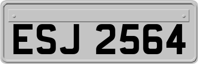 ESJ2564