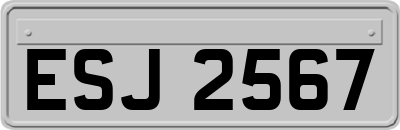 ESJ2567