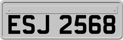 ESJ2568