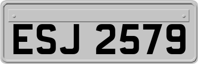 ESJ2579