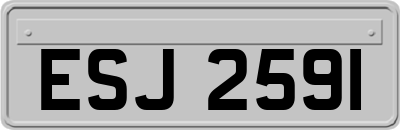 ESJ2591