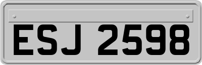 ESJ2598