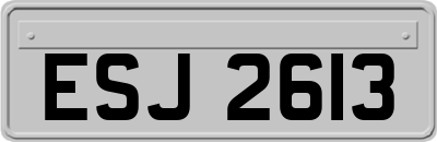 ESJ2613