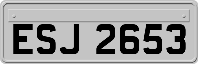ESJ2653