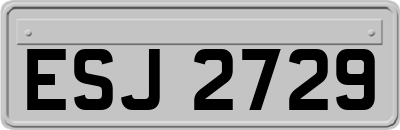 ESJ2729