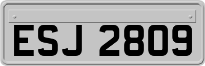 ESJ2809
