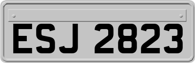 ESJ2823