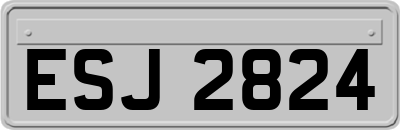 ESJ2824
