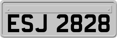 ESJ2828