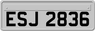 ESJ2836