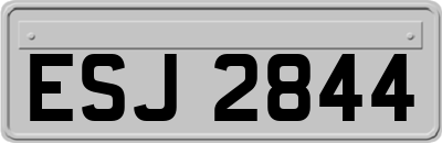 ESJ2844