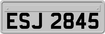 ESJ2845