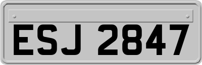 ESJ2847