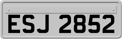 ESJ2852