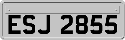 ESJ2855