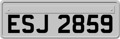 ESJ2859