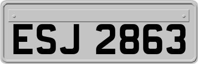 ESJ2863