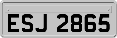 ESJ2865