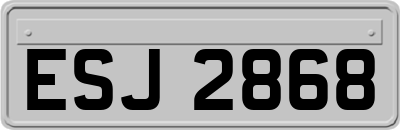 ESJ2868