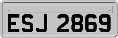 ESJ2869