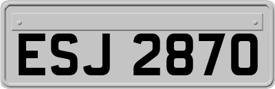 ESJ2870