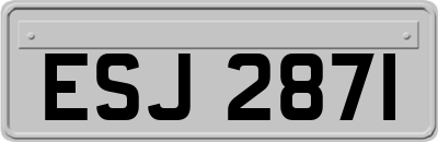 ESJ2871