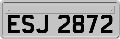 ESJ2872