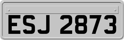 ESJ2873