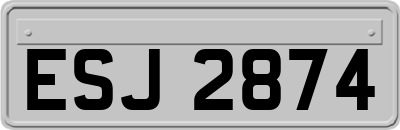 ESJ2874