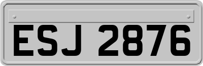 ESJ2876