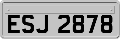 ESJ2878