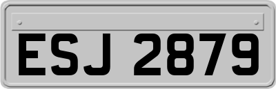 ESJ2879
