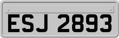 ESJ2893
