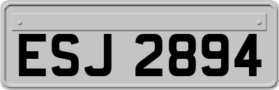 ESJ2894