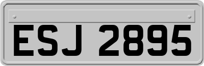 ESJ2895