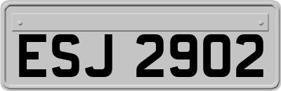 ESJ2902
