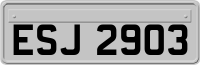 ESJ2903