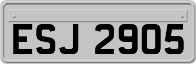 ESJ2905