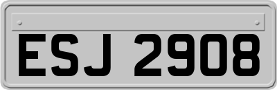 ESJ2908