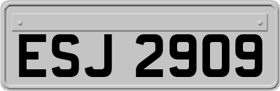 ESJ2909