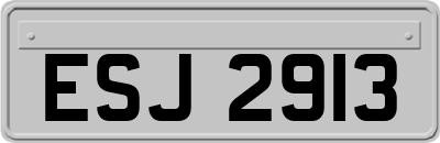 ESJ2913