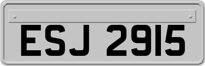 ESJ2915