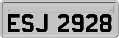 ESJ2928
