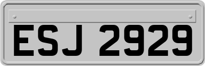 ESJ2929