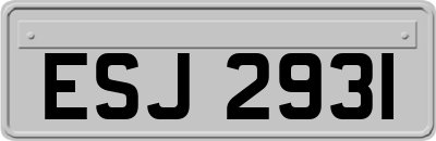 ESJ2931