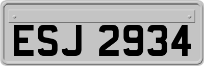 ESJ2934